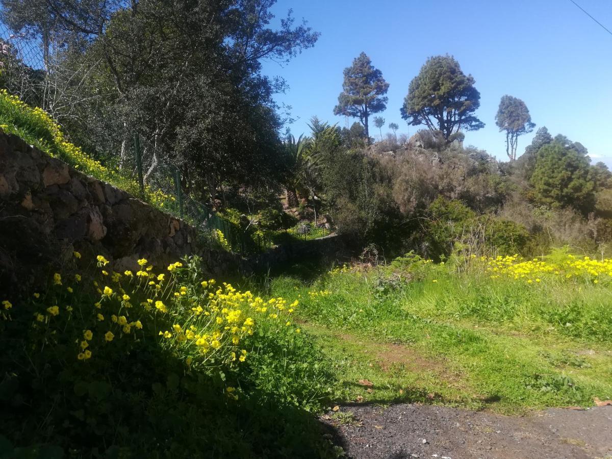 דירות La Guancha La Campana De Arriba מראה חיצוני תמונה